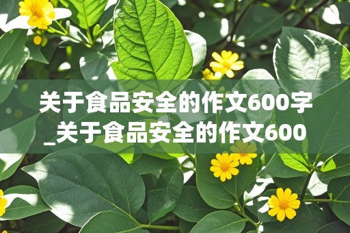 关于食品安全的作文600字_关于食品安全的作文600字左右