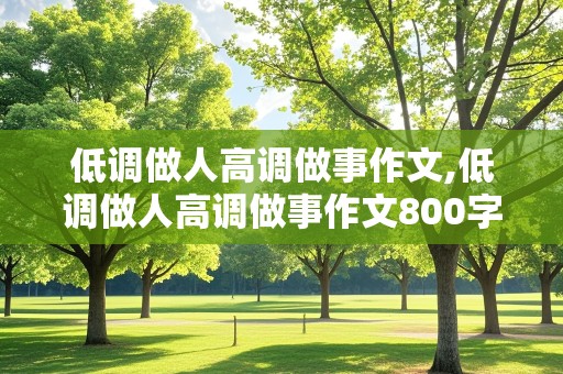 低调做人高调做事作文,低调做人高调做事作文800字