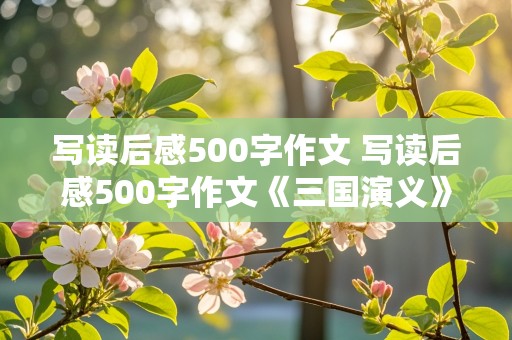 写读后感500字作文 写读后感500字作文《三国演义》