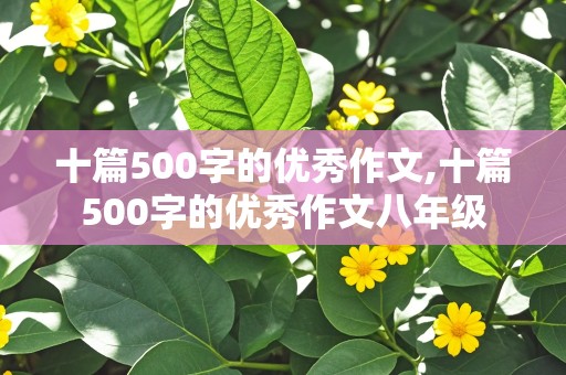 十篇500字的优秀作文,十篇500字的优秀作文八年级