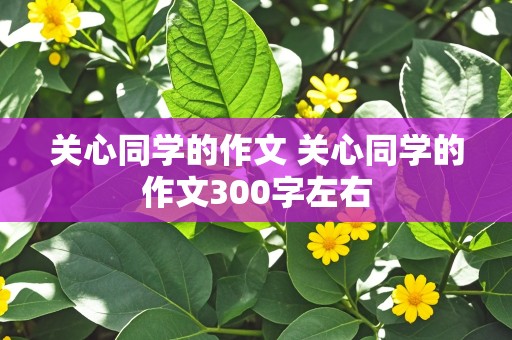 关心同学的作文 关心同学的作文300字左右