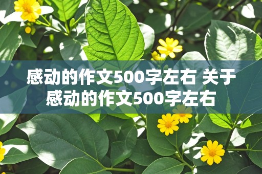 感动的作文500字左右 关于感动的作文500字左右