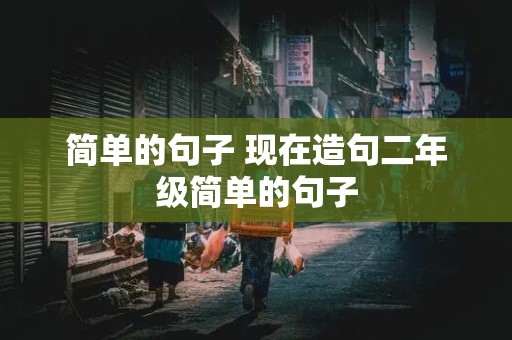 简单的句子 现在造句二年级简单的句子