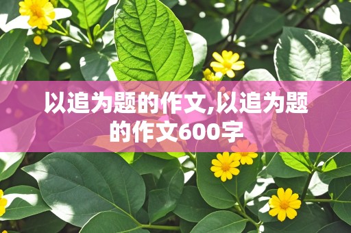 以追为题的作文,以追为题的作文600字