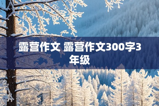 露营作文 露营作文300字3年级