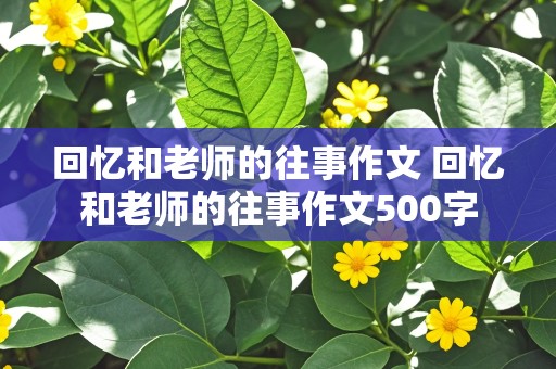 回忆和老师的往事作文 回忆和老师的往事作文500字