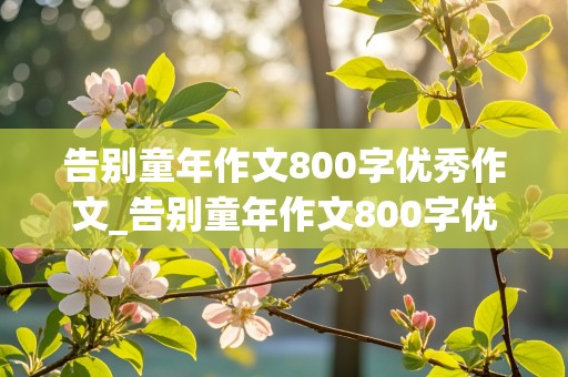 告别童年作文800字优秀作文_告别童年作文800字优秀作文开头