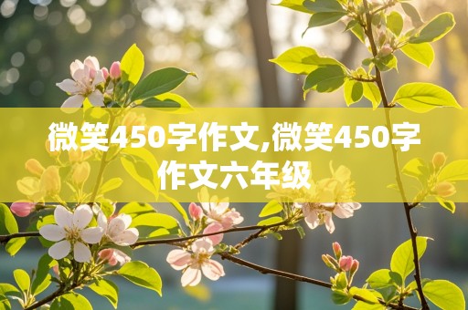 微笑450字作文,微笑450字作文六年级