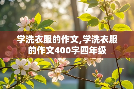 学洗衣服的作文,学洗衣服的作文400字四年级