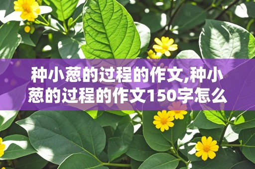 种小葱的过程的作文,种小葱的过程的作文150字怎么写