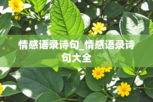 情感语录诗句_情感语录诗句大全