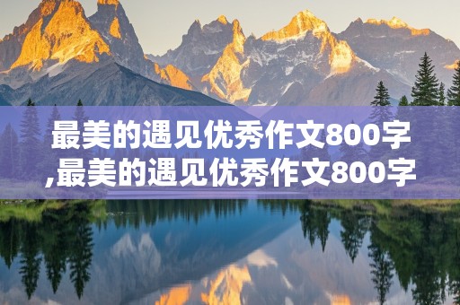 最美的遇见优秀作文800字,最美的遇见优秀作文800字阅读