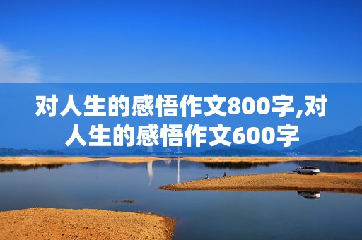 对人生的感悟作文800字,对人生的感悟作文600字