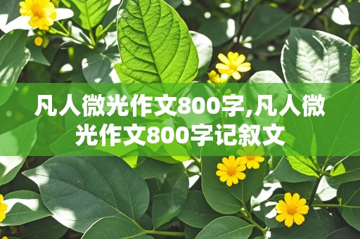 凡人微光作文800字,凡人微光作文800字记叙文