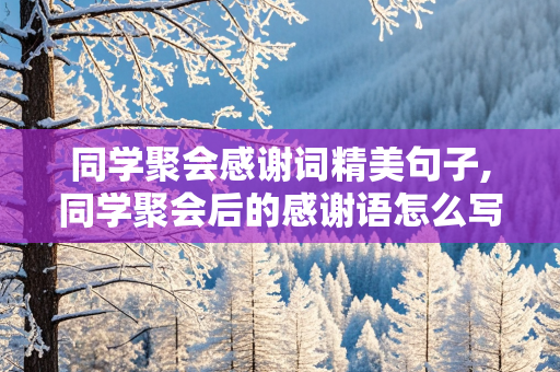 同学聚会感谢词精美句子,同学聚会后的感谢语怎么写