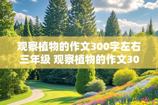 观察植物的作文300字左右三年级 观察植物的作文300字左右三年级带标题