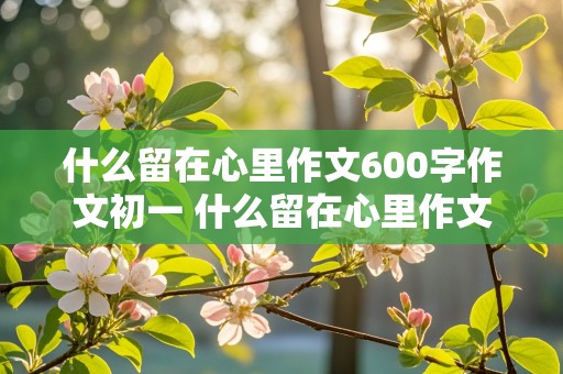 什么留在心里作文600字作文初一 什么留在心里作文600字初中