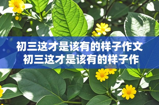 初三这才是该有的样子作文 初三这才是该有的样子作文600字