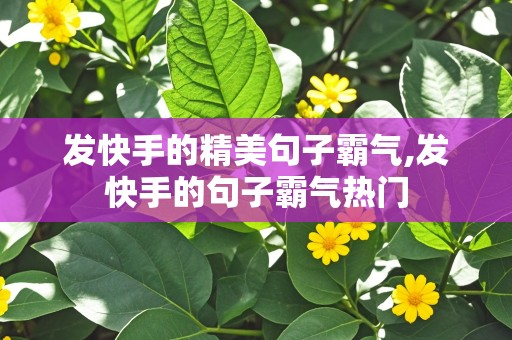 发快手的精美句子霸气,发快手的句子霸气热门