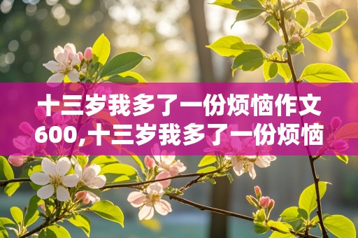 十三岁我多了一份烦恼作文600,十三岁我多了一份烦恼作文600初中