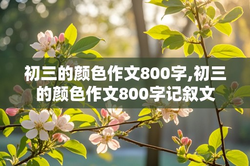 初三的颜色作文800字,初三的颜色作文800字记叙文