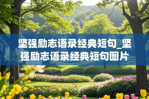 坚强励志语录经典短句_坚强励志语录经典短句图片