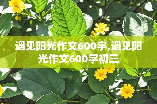 遇见阳光作文600字,遇见阳光作文600字初三