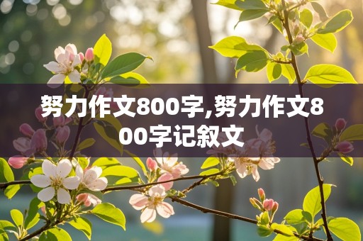 努力作文800字,努力作文800字记叙文