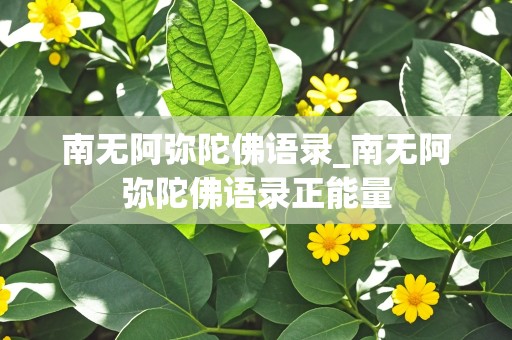 南无阿弥陀佛语录_南无阿弥陀佛语录正能量