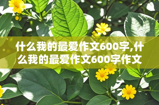 什么我的最爱作文600字,什么我的最爱作文600字作文