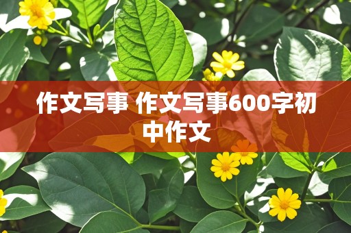 作文写事 作文写事600字初中作文