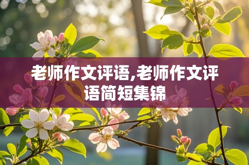 老师作文评语,老师作文评语简短集锦