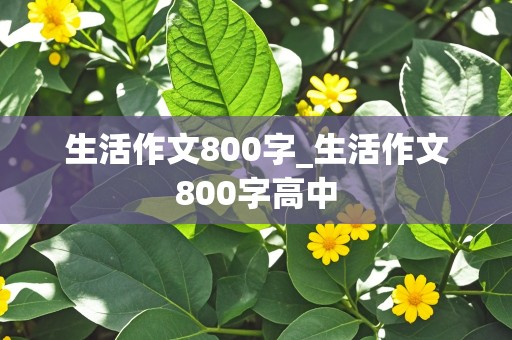 生活作文800字_生活作文800字高中