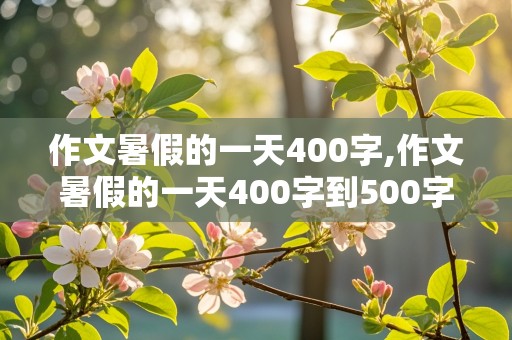 作文暑假的一天400字,作文暑假的一天400字到500字之内