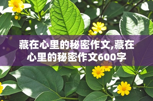 藏在心里的秘密作文,藏在心里的秘密作文600字