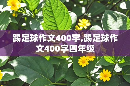 踢足球作文400字,踢足球作文400字四年级