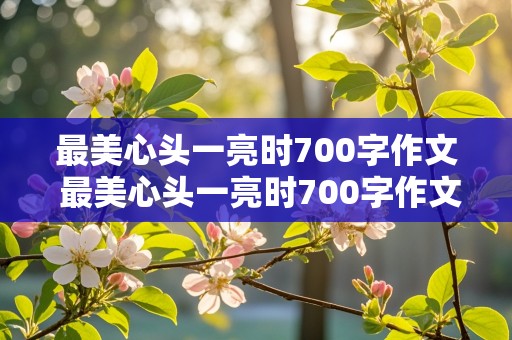 最美心头一亮时700字作文 最美心头一亮时700字作文初二