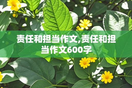 责任和担当作文,责任和担当作文600字