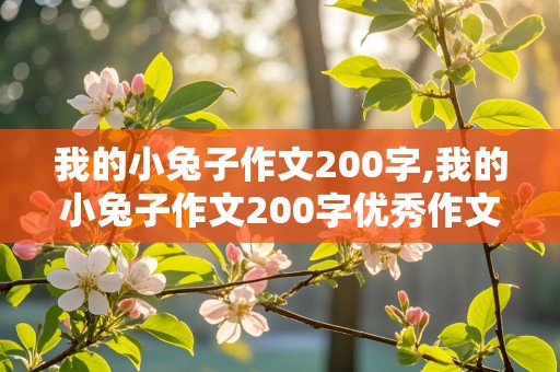 我的小兔子作文200字,我的小兔子作文200字优秀作文