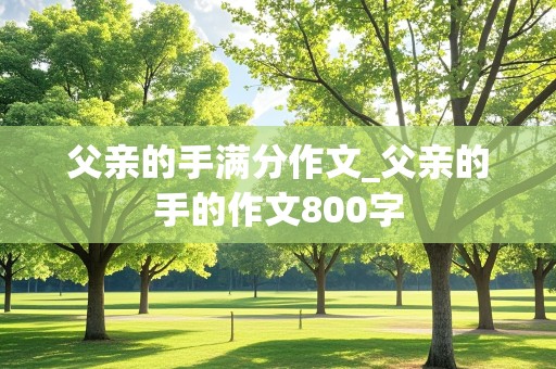 父亲的手满分作文_父亲的手的作文800字