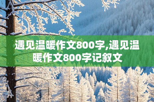 遇见温暖作文800字,遇见温暖作文800字记叙文