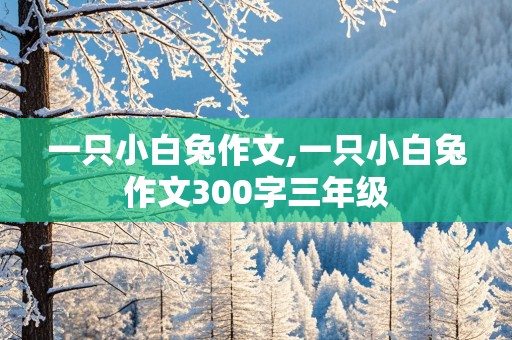 一只小白兔作文,一只小白兔作文300字三年级