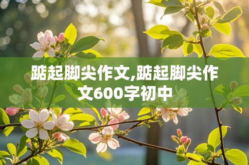 踮起脚尖作文,踮起脚尖作文600字初中