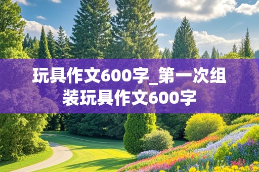 玩具作文600字_第一次组装玩具作文600字