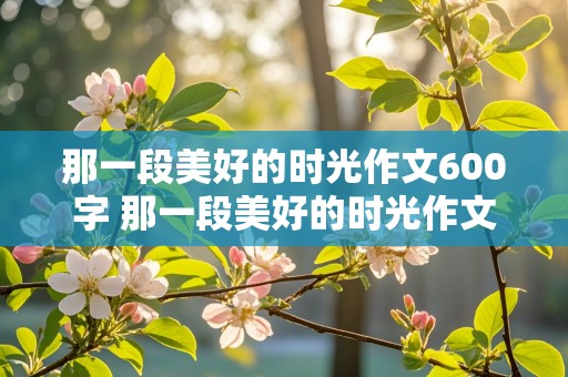 那一段美好的时光作文600字 那一段美好的时光作文600字初中