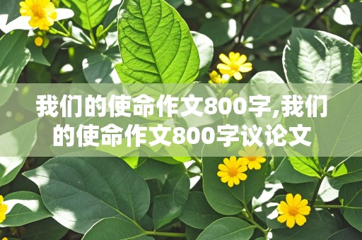 我们的使命作文800字,我们的使命作文800字议论文