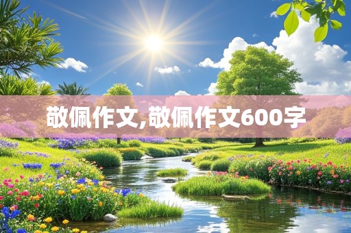 敬佩作文,敬佩作文600字