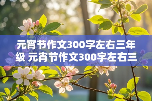 元宵节作文300字左右三年级 元宵节作文300字左右三年级下册