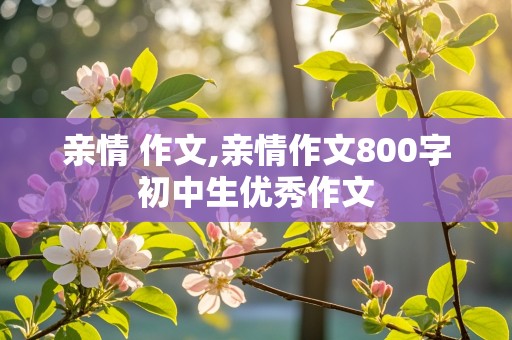 亲情 作文,亲情作文800字初中生优秀作文