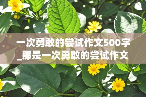 一次勇敢的尝试作文500字_那是一次勇敢的尝试作文500字